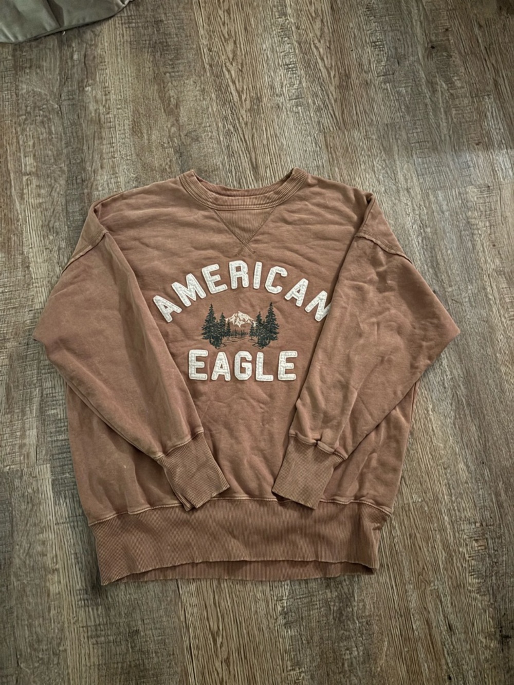 American Eagle Outfitters women’s Brown Crewneck Sweatshirt